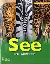  ROYO READERS LEVEL A SEE