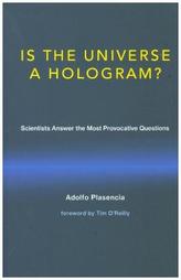 Is the Universe a Hologram?