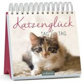 Katzenglück Tag für Tag