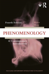  Phenomenology