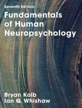 Fundamentals of Human Neuropsychology