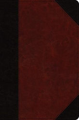  ESV Journaling New Testament, Inductive Edition