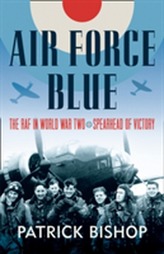 Air Force Blue