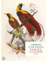 Thorbeckes Paradiesvogel Kalender 2019