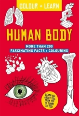 Human Body