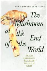 Mushroom at the End of the World