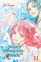 The Water Dragon\'s Bride, Vol. 11