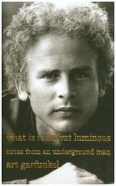 What Is It All but Luminous