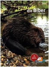 Entdecke die Biber