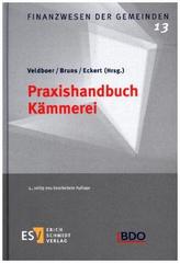Praxishandbuch Kämmerei