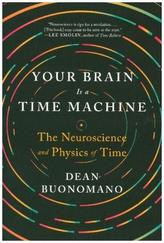 Your Brain Is a Time Machine