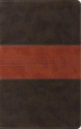  ESV Thinline Reference Bible