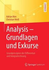 Analysis - Grundlagen und Exkurse