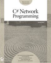  C# Network Programming
