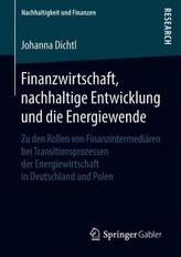 Finanzwirtschaft, nachhaltige Entwicklung und die Energiewende