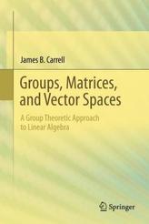 A Group Theoretic Approach to Abstract Linear Algebra