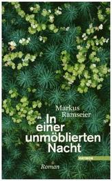 In einer unmöblierten Nacht