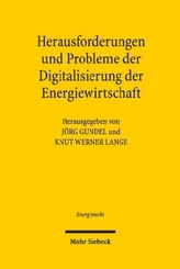 Herausforderungen und Probleme der Digitalisierung der Energiewirtschaft