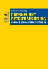 Die Betriebsprüfung - Vorhof zum Finanzstrafverfahren