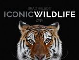 Iconic Wildlife 2019