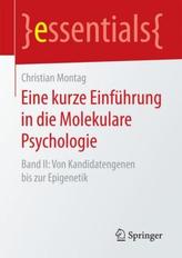 Eine kurze Einführung in die Molekulare Psychologie. Bd.2