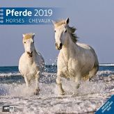 Pferde 2019