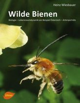 Wilde Bienen