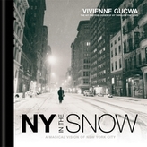 NY In The Snow