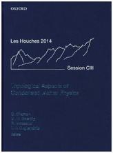 Topological Aspects of Condensed Matter Physics