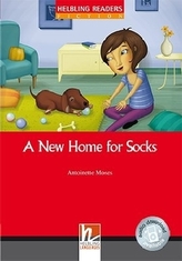 A New Home for Socks, Class Set