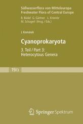 Cyanoprokaryota. Tl.3