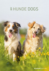 Hunde / Dogs  2019