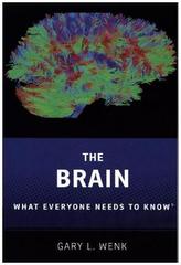 The Brain