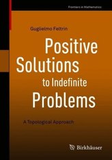 Positive Solutions to Indefinite Problems
