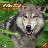 Wölfe 2019