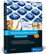 Financial Accounting in SAP ERP: Business User Guide
