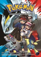 Pokémon Schwarz und Weiss, Edition 2