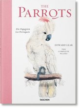 The Parrots. Papageien