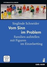 Vom Sinn im Problem, 1 DVD