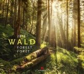 Wald 2019