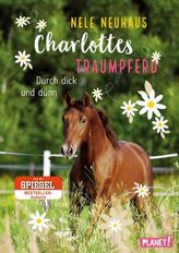 Charlottes Traumpferd: Durch dick und dünn