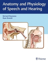 Anatomy and Physiology of Speech and Hearing