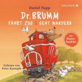 Dr. Brumm fährt Zug / Dr. Brumm geht wandern, 1 Audio-CD