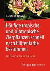 Häufige tropische und subtropische Zierpflanzen schnell nach Blütenfarbe bestimmen