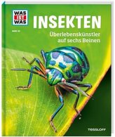 Insekten. Überlebenskünstler auf sechs Beinen