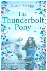 The Thunderbolt Pony