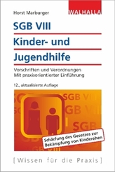 SGB VIII - Kinder- und Jugendhilfe