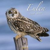 Eulen 2019