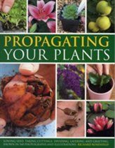  Propagating Your Plants