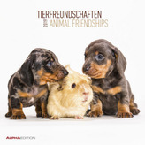 Tierfreundschaften / Animal Friendships 2019